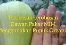 Terobosan Inovatif MIM Wujudkan Swasembada Pangan dan Kesejahteraan Petani di Jawa Barat