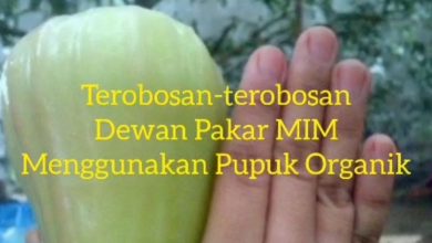 Terobosan Inovatif MIM Wujudkan Swasembada Pangan dan Kesejahteraan Petani di Jawa Barat