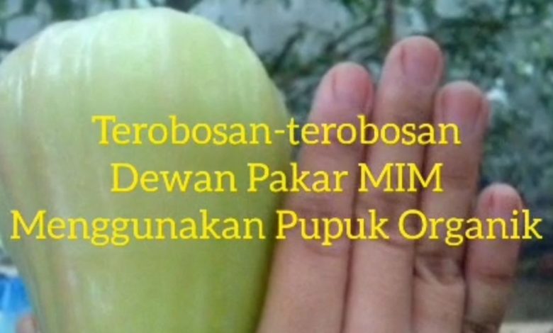 Terobosan Inovatif MIM Wujudkan Swasembada Pangan dan Kesejahteraan Petani di Jawa Barat